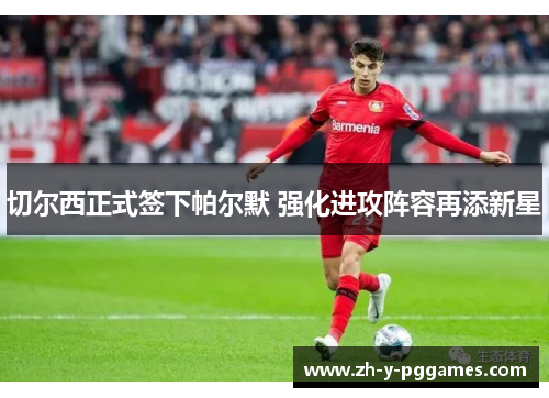 切尔西正式签下帕尔默 强化进攻阵容再添新星